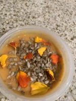 1C240F76-D96A-4032-996B-B997C08F6C9A-300x225